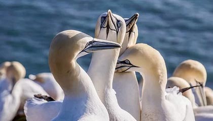 开云体育链接-高科技赛车空气动力学：减少阻力的秘密，f1赛车空气动力学